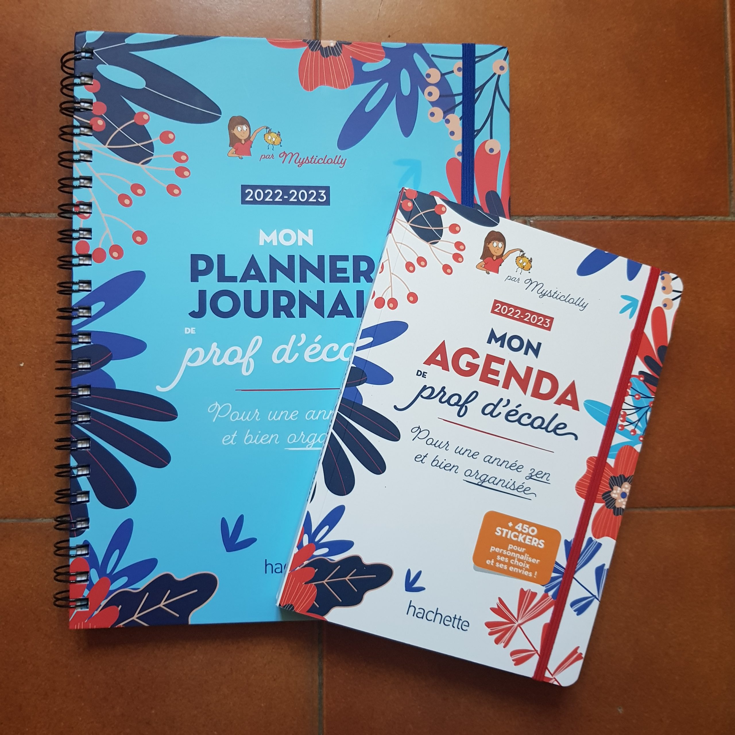 Agenda Journalier 2022: Planificateur journalier simple et pratique, Agenda  professionnel grand format, Avec planification mensuel, Sur 12 mois, de   2022